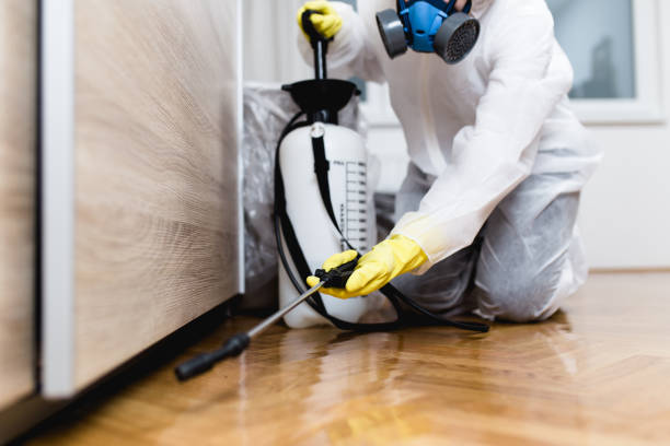Best Flea Control Services  in Forest Lake, IL