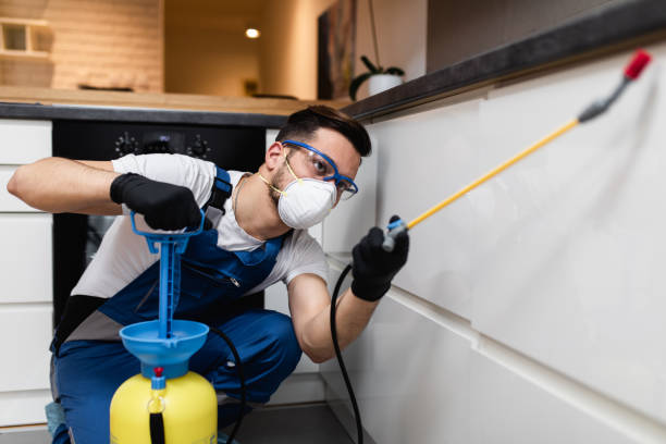 Wasp Removal Services in Forest Lake, IL