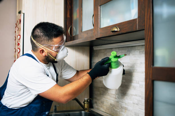 Best Termite Control Services  in Forest Lake, IL