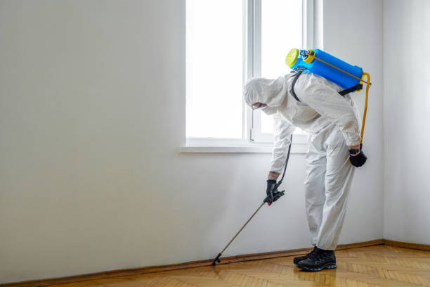 Trusted Forest Lake, IL Pest Control Experts