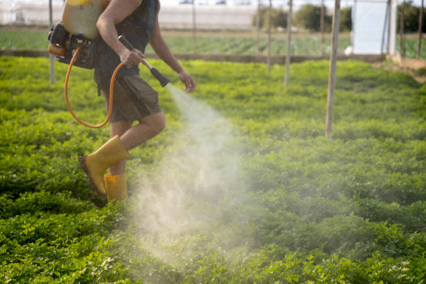 Best Best Pest Control Companies  in Forest Lake, IL
