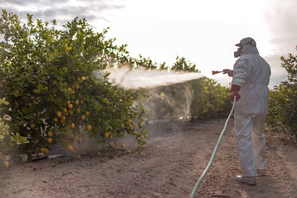 Best Best Pest Control Companies  in Forest Lake, IL