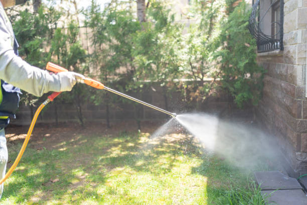 Best Best Pest Control Companies  in Forest Lake, IL