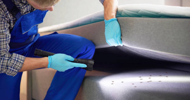 Best Commercial Pest Control Services  in Forest Lake, IL
