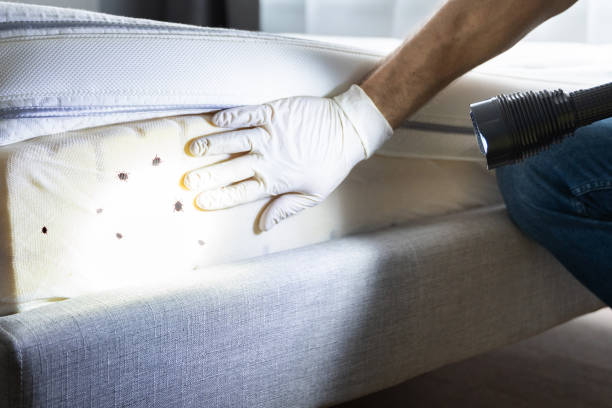 Best Best Pest Control Companies  in Forest Lake, IL