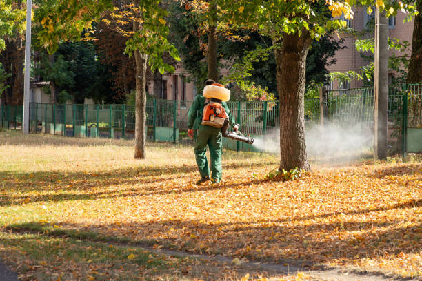 Professional Pest Control in Forest Lake, IL