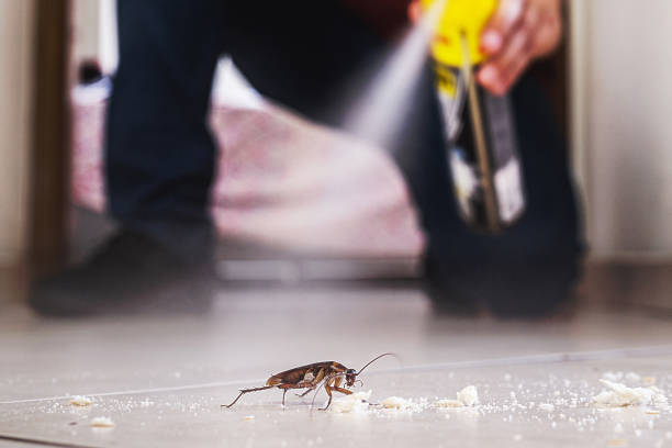 Insect Control in Forest Lake, IL
