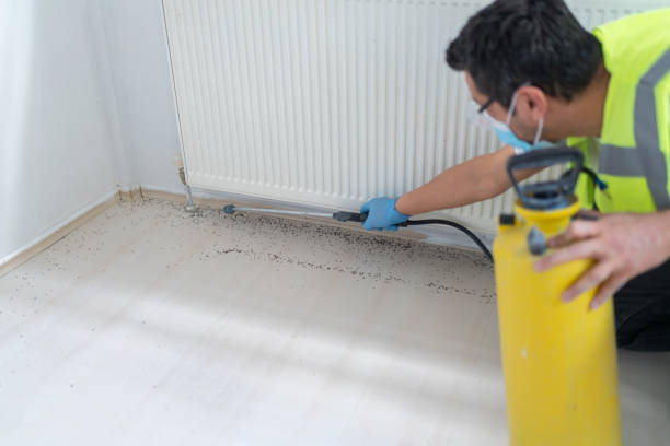 Best Termite Control Services  in Forest Lake, IL